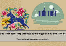 Giáp Tuất 1994 hợp với tuổi nào trong hôn nhân và làm ăn?