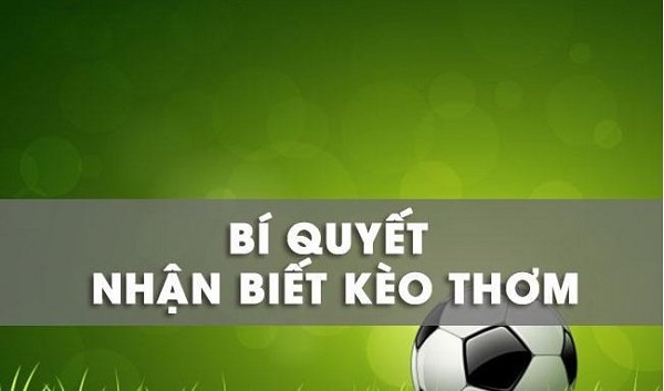 Tuyệt chiêu trong cách nhận biết kèo thơm online chuẩn nhất